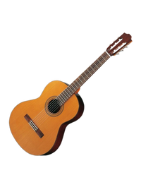 gitaar